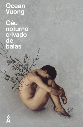 Céu noturno crivado de balas - Vuong, Ocean